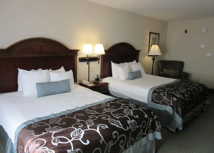 Wingate By Wyndham Charleston Southern 3* North Charleston